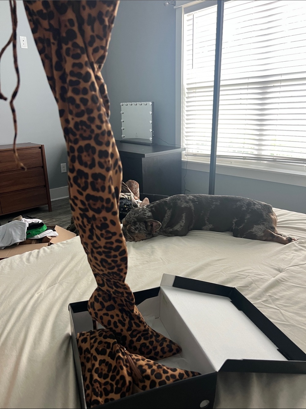 Leopard Print Over-the-Knee Boot - Brown